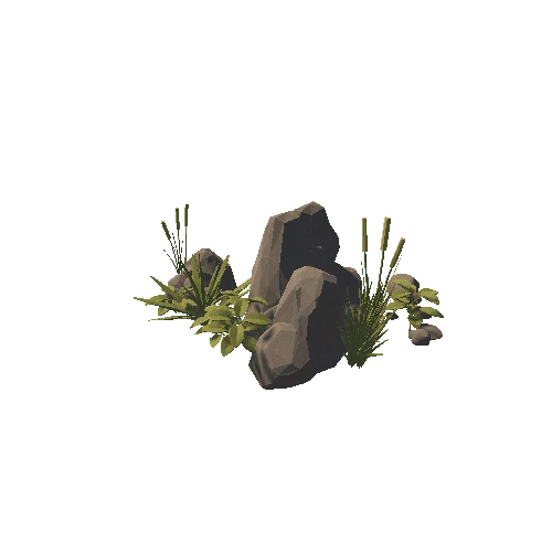 Water - Rocks Module 1